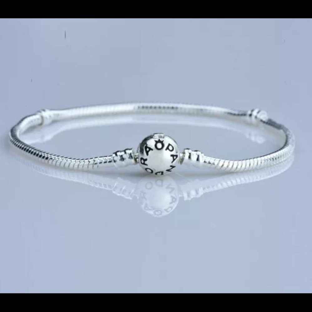 Charm bracelet